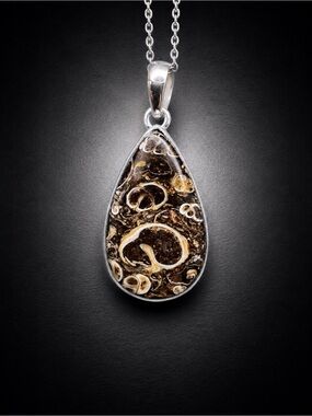 Turritella Agate 925 Silver